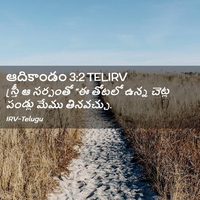 Picture 02 - ఆదికాండం 3:2 TELIRV - స్త్రీ ఆ సర్పంతో - Bible Verse Picture
