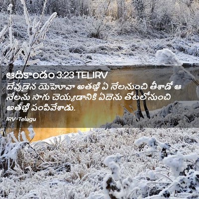 Picture 02 - ఆదికాండం 3:23 TELIRV - దేవుడైన యెహోవా - Bible Verse Picture