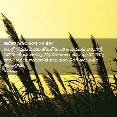 Picture 02 - ఆదికాండం 3:24 TELIRV - కాబట్టి దేవుడు - Bible Verse Picture