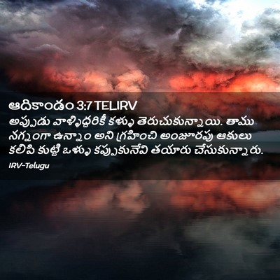 Picture 02 - ఆదికాండం 3:7 TELIRV - అప్పుడు - Bible Verse Picture