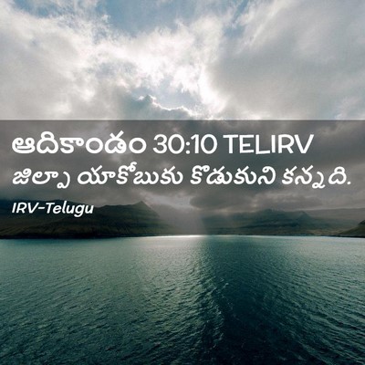 Picture 02 - ఆదికాండం 30:10 TELIRV - జిల్పా యాకోబుకు - Bible Verse Picture