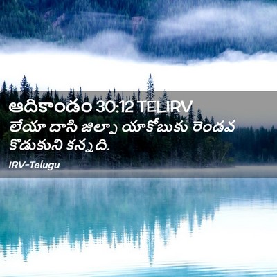 Picture 02 - ఆదికాండం 30:12 TELIRV - లేయా దాసి జిల్పా - Bible Verse Picture