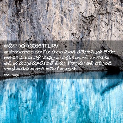 Picture 02 - ఆదికాండం 30:16 TELIRV - ఆ సాయంకాలం యాకోబు - Bible Verse Picture