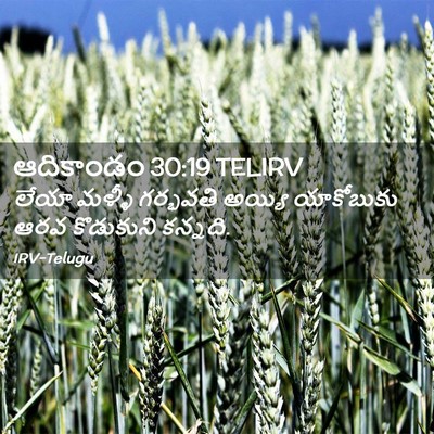 Picture 02 - ఆదికాండం 30:19 TELIRV - లేయా మళ్ళీ - Bible Verse Picture