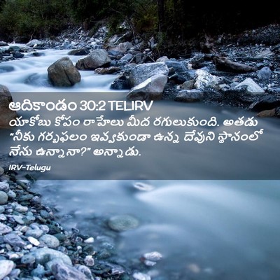 Picture 02 - ఆదికాండం 30:2 TELIRV - యాకోబు కోపం - Bible Verse Picture
