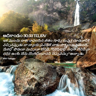 Picture 02 - ఆదికాండం 30:33 TELIRV - ఇక ముందు నాకు - Bible Verse Picture