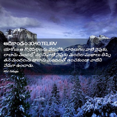 Picture 02 - ఆదికాండం 30:40 TELIRV - యాకోబు ఆ - Bible Verse Picture