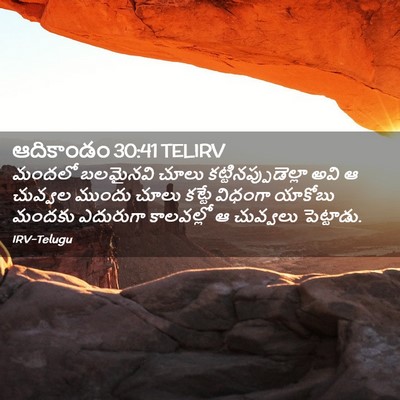 Picture 02 - ఆదికాండం 30:41 TELIRV - మందలో బలమైనవి - Bible Verse Picture