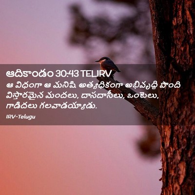 Picture 02 - ఆదికాండం 30:43 TELIRV - ఆ విధంగా ఆ మనిషి - Bible Verse Picture