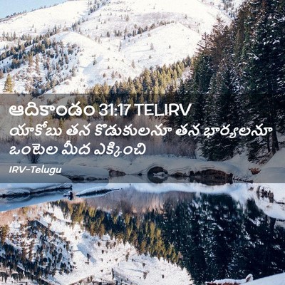 Picture 02 - ఆదికాండం 31:17 TELIRV - యాకోబు తన - Bible Verse Picture
