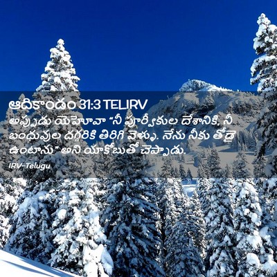 Picture 02 - ఆదికాండం 31:3 TELIRV - అప్పుడు యెహోవా - Bible Verse Picture