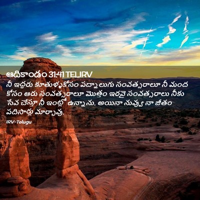 Picture 02 - ఆదికాండం 31:41 TELIRV - నీ ఇద్దరు - Bible Verse Picture