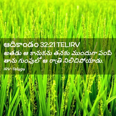Picture 02 - ఆదికాండం 32:21 TELIRV - అతడు ఆ కానుకను - Bible Verse Picture