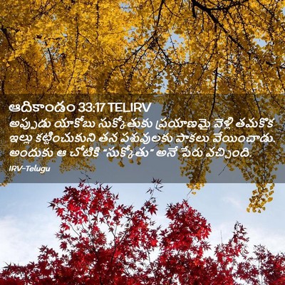 Picture 02 - ఆదికాండం 33:17 TELIRV - అప్పుడు యాకోబు - Bible Verse Picture
