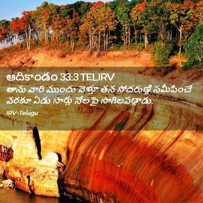 Picture 02 - ఆదికాండం 33:3 TELIRV - తాను వారి ముందు - Bible Verse Picture