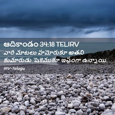 Picture 02 - ఆదికాండం 34:18 TELIRV - వారి మాటలు - Bible Verse Picture