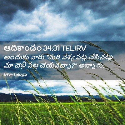 Picture 02 - ఆదికాండం 34:31 TELIRV - అందుకు వారు “మరి - Bible Verse Picture