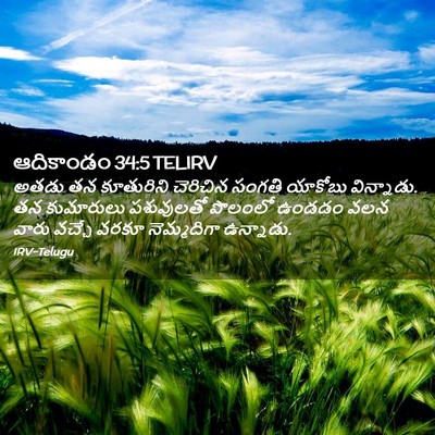 Picture 02 - ఆదికాండం 34:5 TELIRV - అతడు తన కూతురిని - Bible Verse Picture