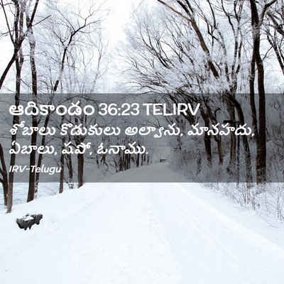 Picture 02 - ఆదికాండం 36:23 TELIRV - శోబాలు కొడుకులు - Bible Verse Picture