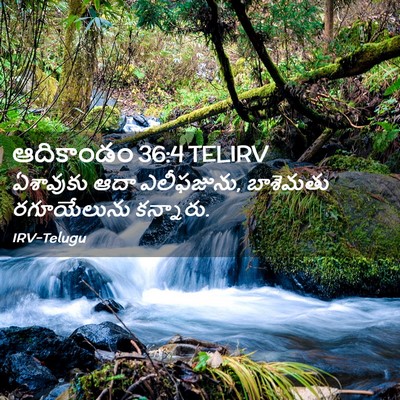 Picture 02 - ఆదికాండం 36:4 TELIRV - ఏశావుకు ఆదా - Bible Verse Picture