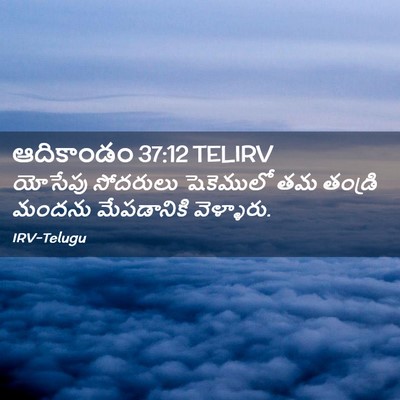 Picture 02 - ఆదికాండం 37:12 TELIRV - యోసేపు సోదరులు - Bible Verse Picture