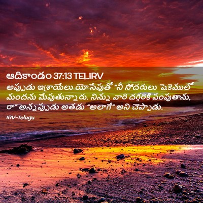 Picture 02 - ఆదికాండం 37:13 TELIRV - అప్పుడు ఇశ్రాయేలు - Bible Verse Picture