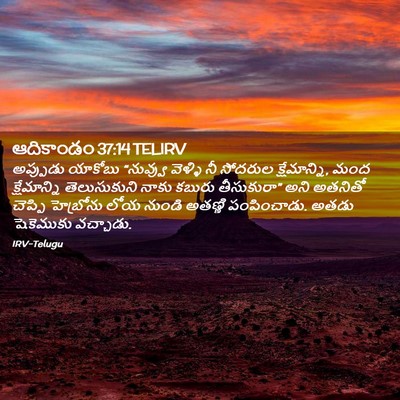Picture 02 - ఆదికాండం 37:14 TELIRV - అప్పుడు యాకోబు - Bible Verse Picture