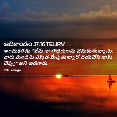 Picture 02 - ఆదికాండం 37:16 TELIRV - అందుకతడు “నేను నా - Bible Verse Picture