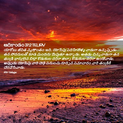 Picture 02 - ఆదికాండం 37:2 TELIRV - యాకోబు జీవిత - Bible Verse Picture