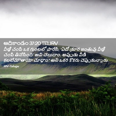 Picture 02 - ఆదికాండం 37:20 TELIRV - వీణ్ణి చంపి ఒక - Bible Verse Picture
