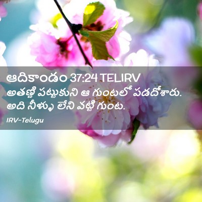 Picture 02 - ఆదికాండం 37:24 TELIRV - అతణ్ణి పట్టుకుని - Bible Verse Picture