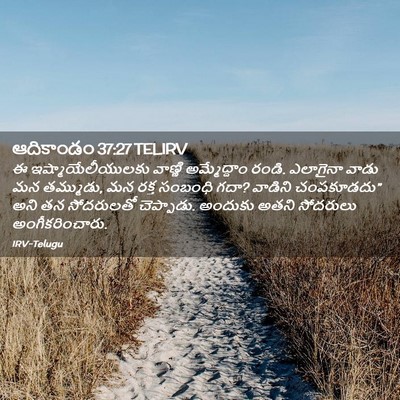 Picture 02 - ఆదికాండం 37:27 TELIRV - ఈ ఇష్మాయేలీయులకు - Bible Verse Picture