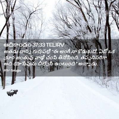 Picture 02 - ఆదికాండం 37:33 TELIRV - అతడు దాన్ని - Bible Verse Picture