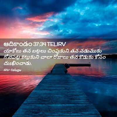 Picture 02 - ఆదికాండం 37:34 TELIRV - యాకోబు తన బట్టలు - Bible Verse Picture