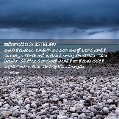 Picture 02 - ఆదికాండం 37:35 TELIRV - అతని కొడుకులు, - Bible Verse Picture