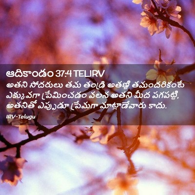 Picture 02 - ఆదికాండం 37:4 TELIRV - అతని సోదరులు తమ - Bible Verse Picture