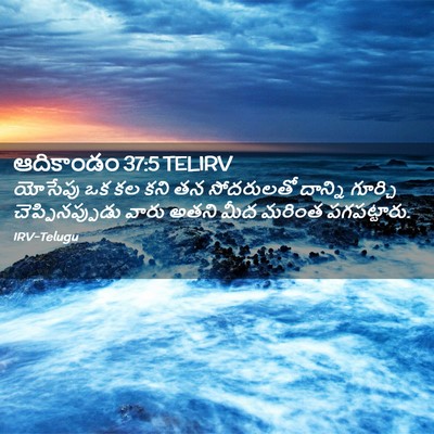 Picture 02 - ఆదికాండం 37:5 TELIRV - యోసేపు ఒక కల కని తన - Bible Verse Picture