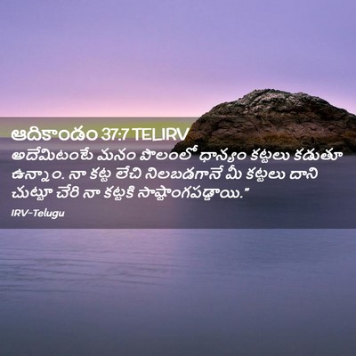 Picture 02 - ఆదికాండం 37:7 TELIRV - అదేమిటంటే మనం - Bible Verse Picture