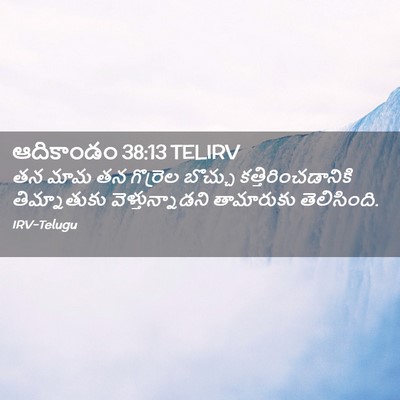 Picture 02 - ఆదికాండం 38:13 TELIRV - తన మామ తన గొర్రెల - Bible Verse Picture