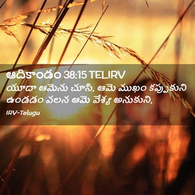 Picture 02 - ఆదికాండం 38:15 TELIRV - యూదా ఆమెను చూసి, - Bible Verse Picture