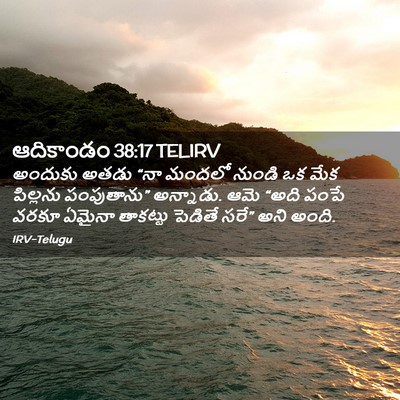 Picture 02 - ఆదికాండం 38:17 TELIRV - అందుకు అతడు “నా - Bible Verse Picture