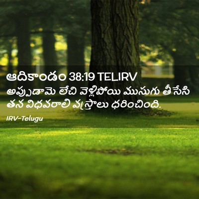 Picture 02 - ఆదికాండం 38:19 TELIRV - అప్పుడామె లేచి - Bible Verse Picture