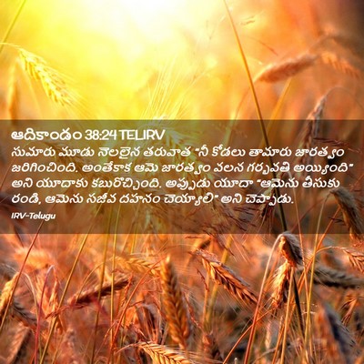 Picture 02 - ఆదికాండం 38:24 TELIRV - సుమారు మూడు - Bible Verse Picture