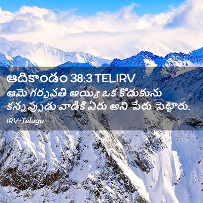 Picture 02 - ఆదికాండం 38:3 TELIRV - ఆమె గర్భవతి అయ్యి - Bible Verse Picture