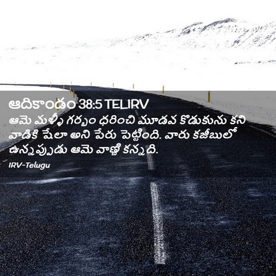 Picture 02 - ఆదికాండం 38:5 TELIRV - ఆమె మళ్ళీ గర్భం - Bible Verse Picture