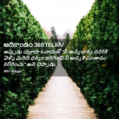 Picture 02 - ఆదికాండం 38:8 TELIRV - అప్పుడు యూదా - Bible Verse Picture