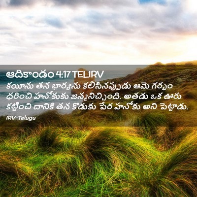 Picture 02 - ఆదికాండం 4:17 TELIRV - కయీను తన భార్యను - Bible Verse Picture