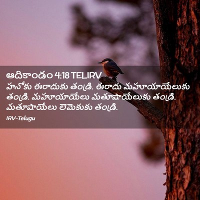 Picture 02 - ఆదికాండం 4:18 TELIRV - హనోకు ఈరాదుకు - Bible Verse Picture