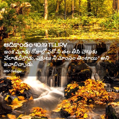 Picture 02 - ఆదికాండం 40:19 TELIRV - ఇంక మూడు రోజుల్లో - Bible Verse Picture