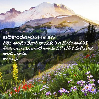 Picture 02 - ఆదికాండం 40:21 TELIRV - గిన్నె - Bible Verse Picture